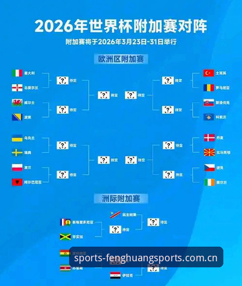 世界杯观赛困局深度分析：签证风波背后的全球体育迷困境与破局之道